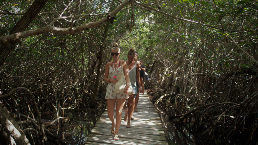 walking in to the jungle in riviera maya with underwatermexico