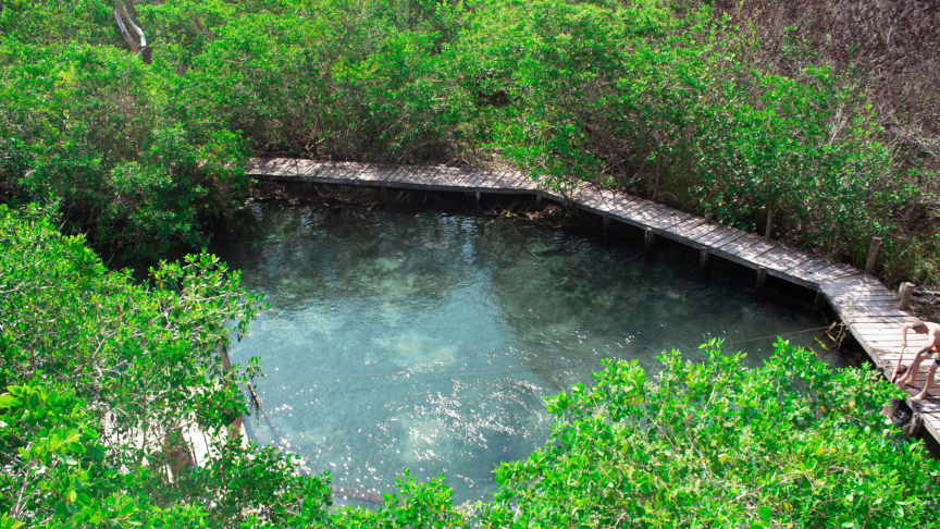 yalahua cenote isla holbox with underwatermexico
