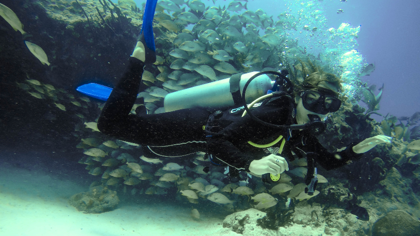 diving with fishes, Advanced Open Water Course