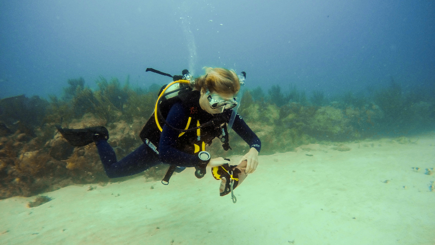 Picture of Curso Advanced Open Water Diver