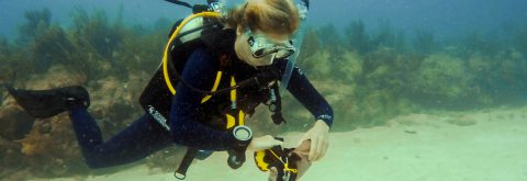 Advanced Open Water Diver Course