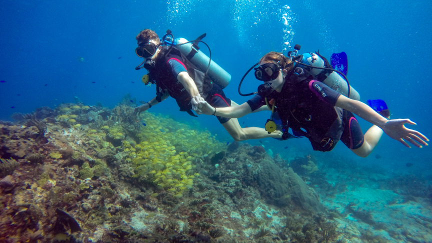Couple during their Discover scuba diving
