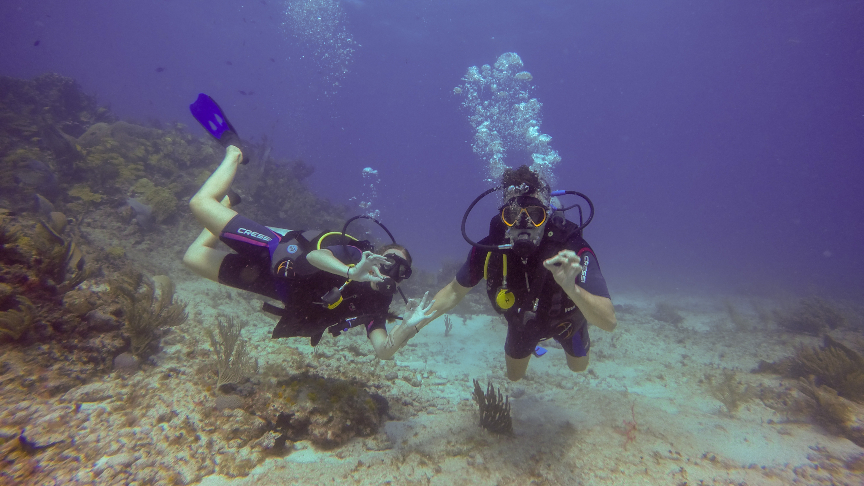 Dive-Courses-DSD-Isla Mujeres reef