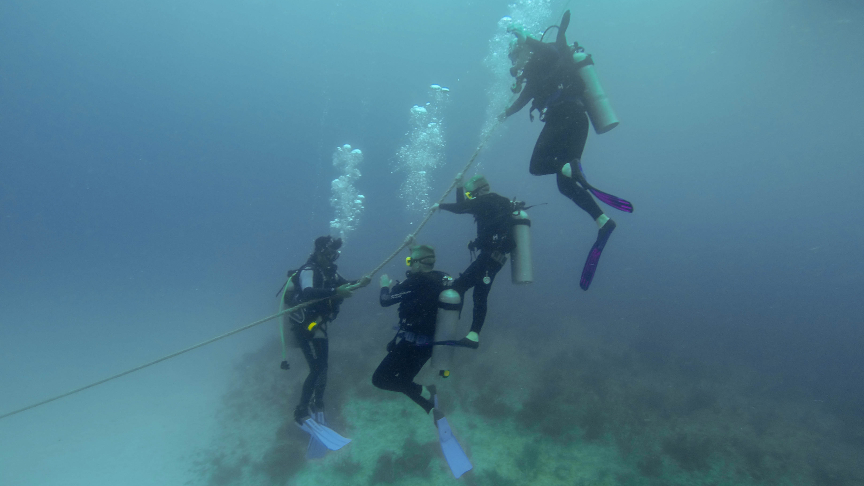 Dive-Courses-DSD-going down following the line