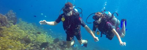 Discover Scuba Diving (DSD)