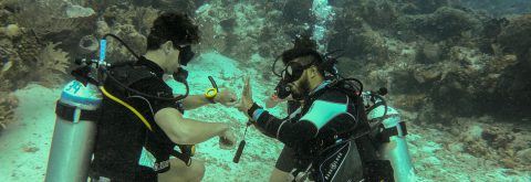 OPEN WATER DIVER COURSE