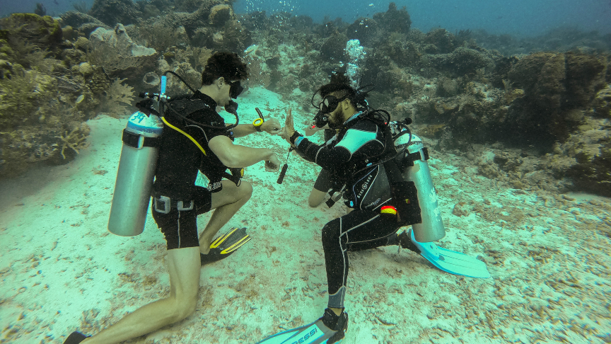 owd dive in cozumel, curso de buceo PADI