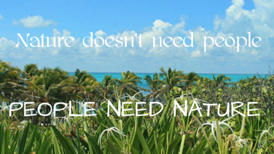 nature doesnt need us, nuestro equipo, nuestro blog,our team, onze blog