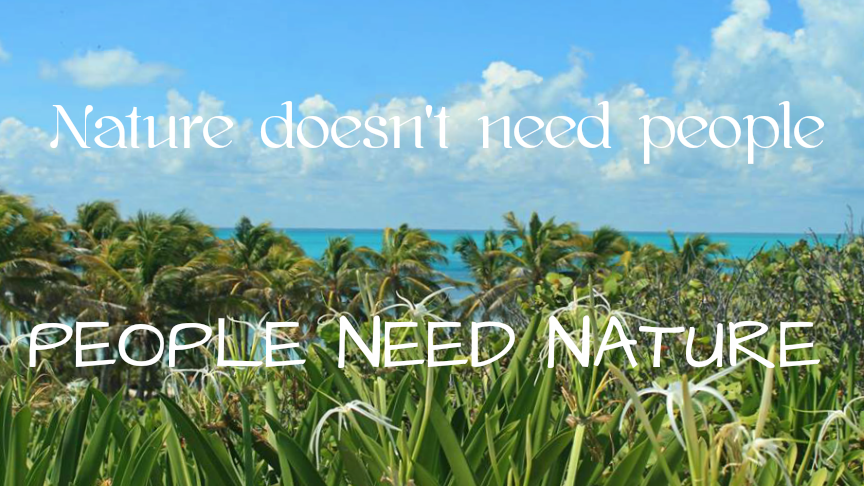 nature doesnt need us, nuestro equipo, nuestro blog,our team, onze blog