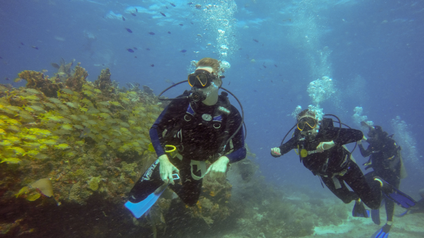Open Water Diver course in Isla Mujeres