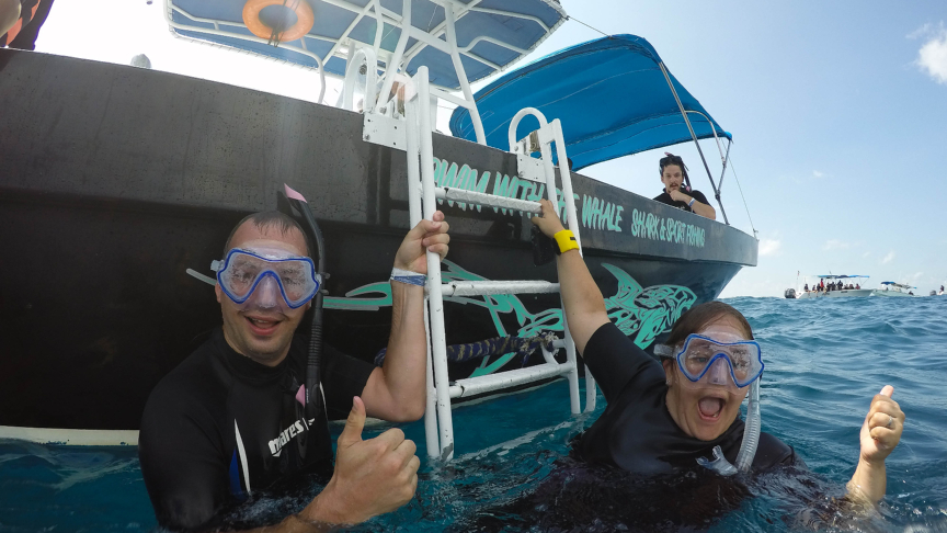 Swimming with whale shark,nadar con tiburones ballena, zwemmen-met walvishaaien in mexico