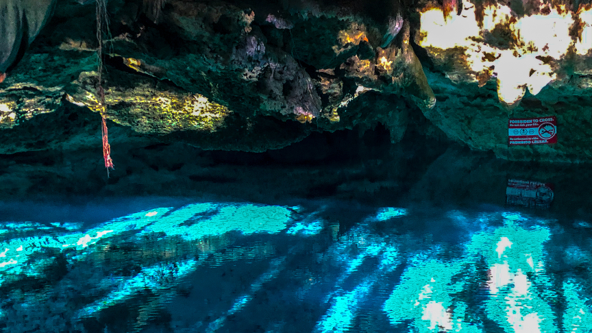 Cenote Dos Ojos, swimming in a cenote, snorkel, zwemmen in een cenote