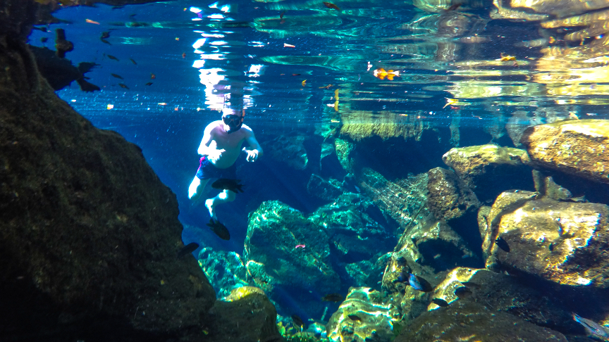 snorkeling in a cenote
