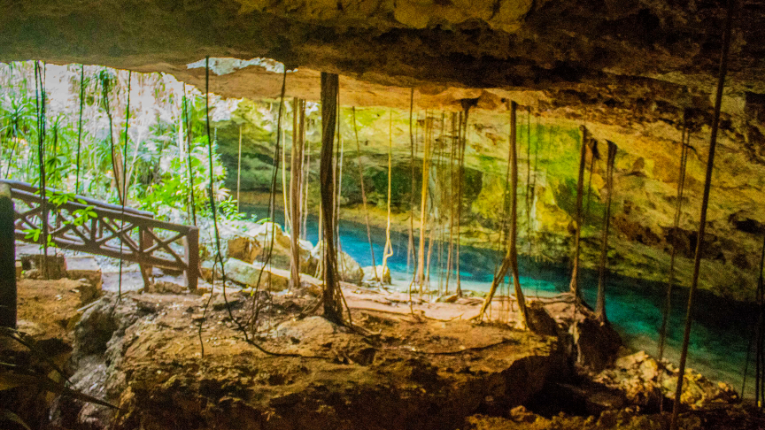 sacred cenote, jungle, swimming in a cenote, snorkel