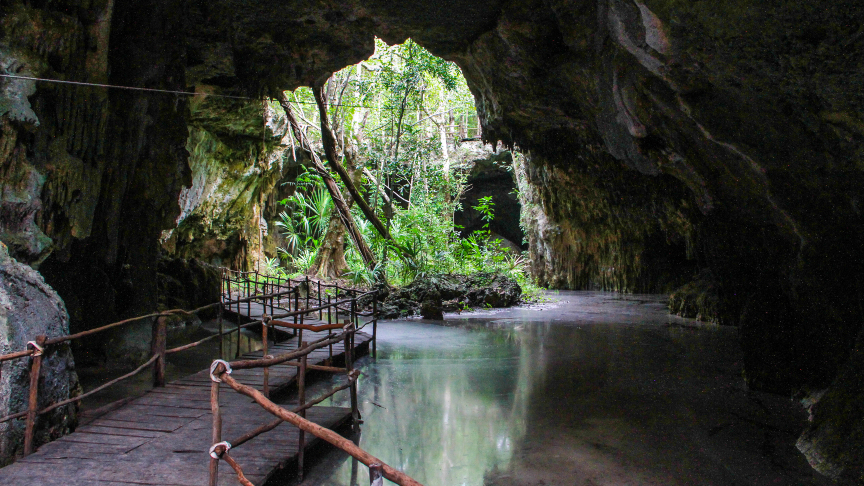 cave, jungle, swimming in a cenote, snorkel