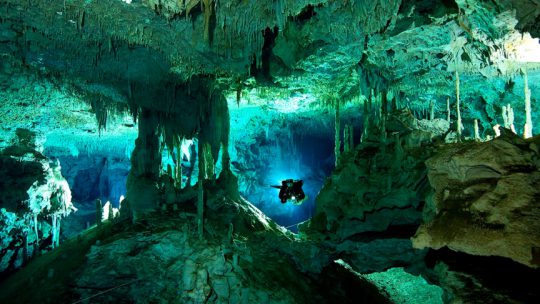 Diving in cenotes