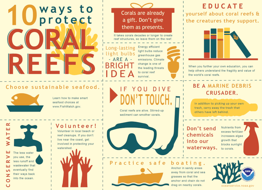 infografia protegiendo a los arrecifes coralinos