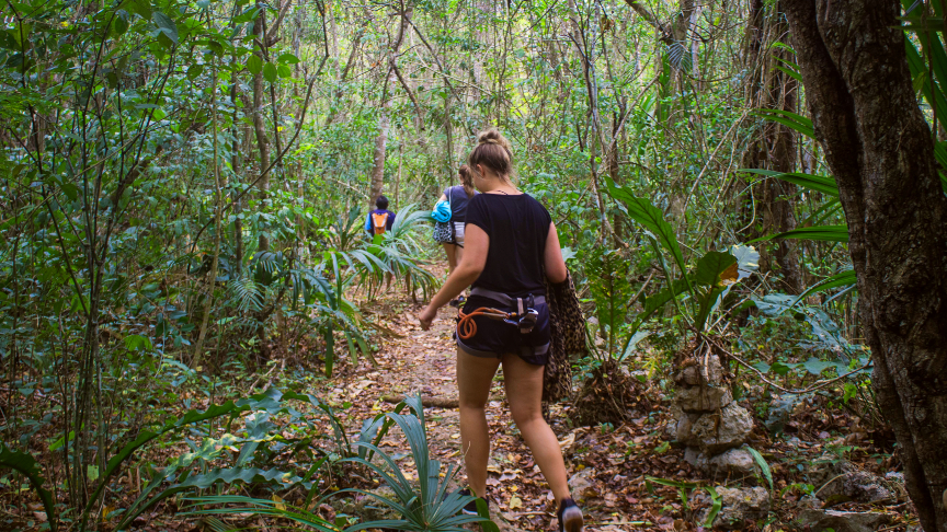 Jungle walk Punta Laguna