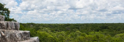 Coba Jungle Experience