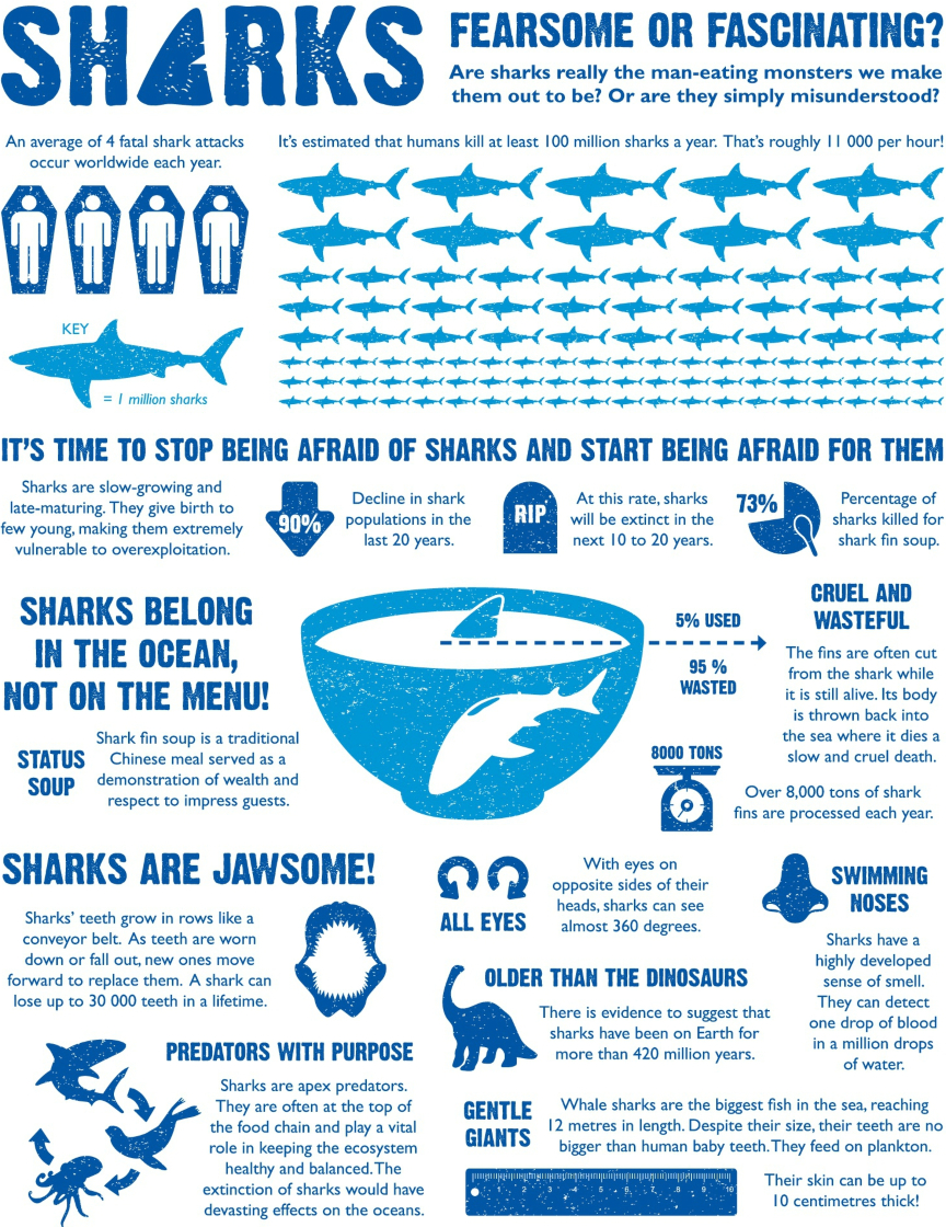 Infographic by Two Oceans Aquarium 