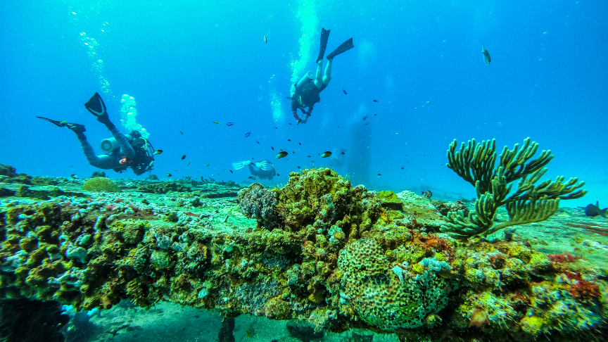 Picture of 2 tanks Diving in the Cancun area