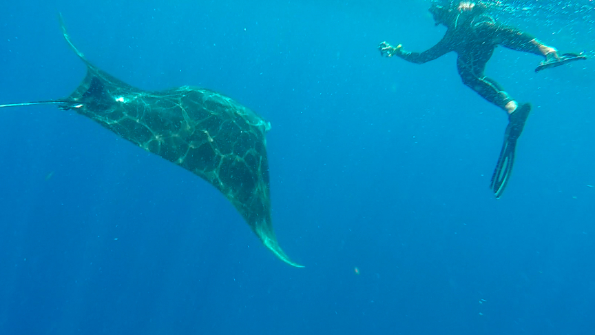 Antonio taking a picture of a manta ray