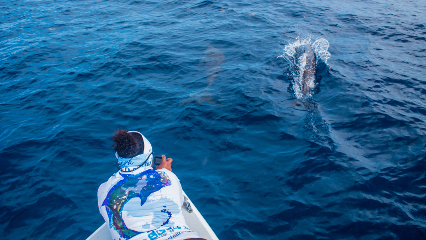 Marinero Marco taking videos of dolphins