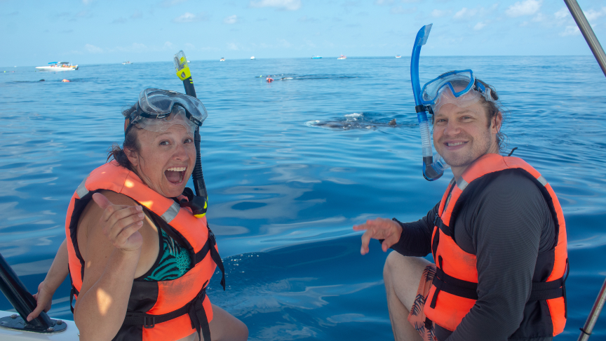 Who can swim with whale sharks