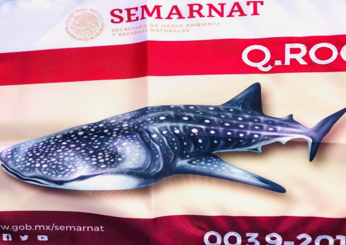 semarnat flag