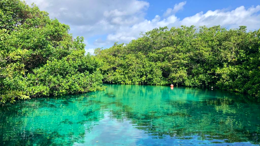 Beautiful Casa Cenote from the surface