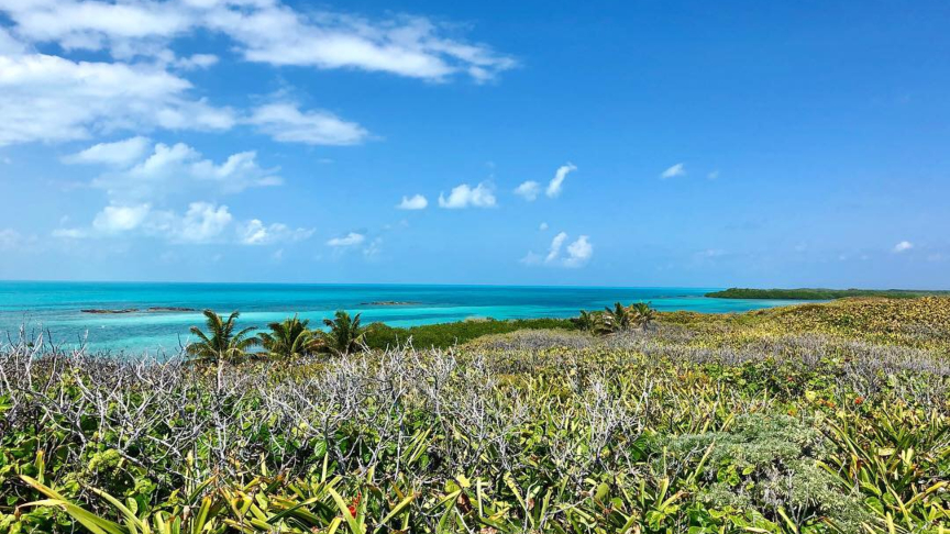View from the dune Isla Contoy